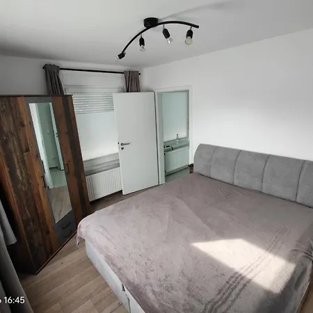 Wildgans 2 Dollart Ostfriesland *