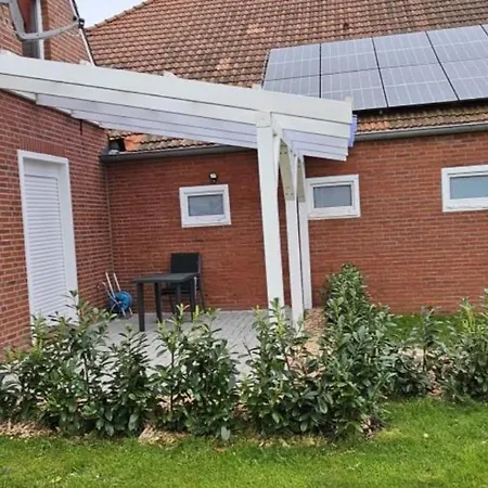 Wildgans 2 Dollart Ostfriesland *